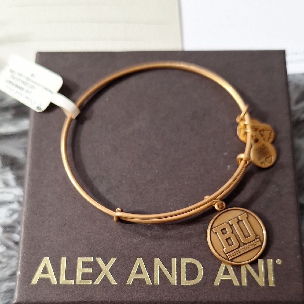 Alex and Ani Gold BU Bracelet with bonus gifts